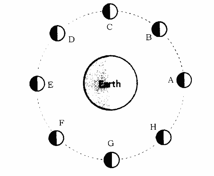 Question diagram — the numbered options below refer to the choices shown here