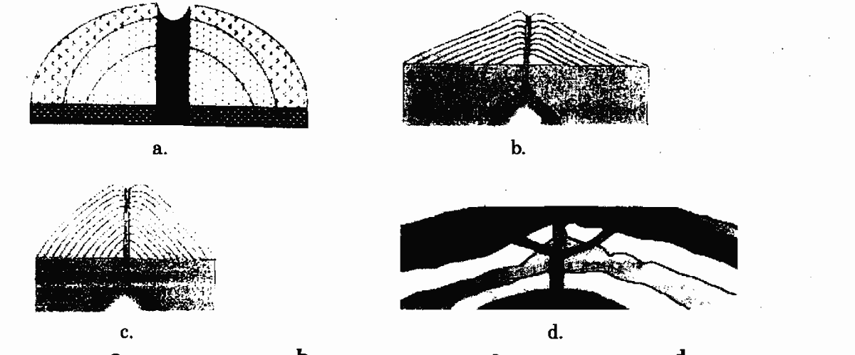 Question diagram — the numbered options below refer to the choices shown here